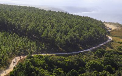 From Ocean Vistas to High Mountain Passes | M&G PE PLETT STAGE 3